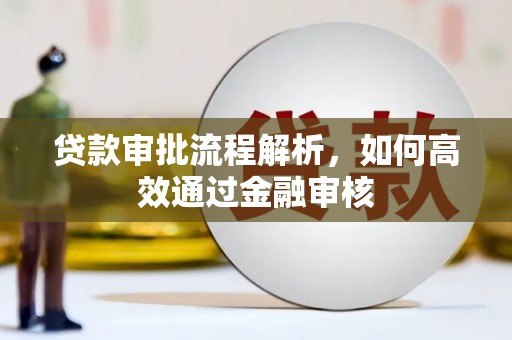 定远贷款审批流程解析，如何高效通过金融审核