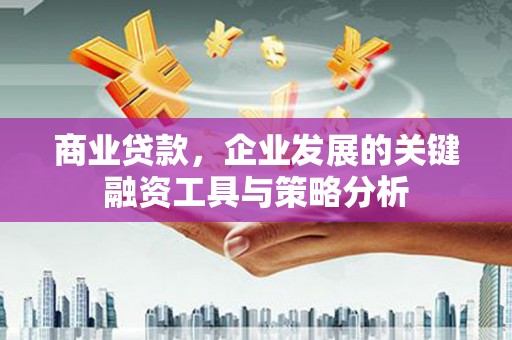 定远商业贷款，企业发展的关键融资工具与策略分析