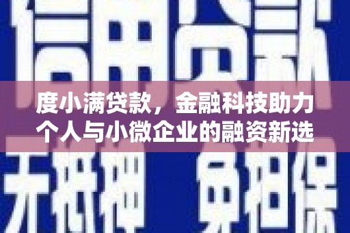 定远度小满贷款，金融科技助力个人与小微企业的融资新选择