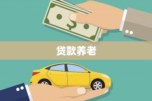 定远贷款养老