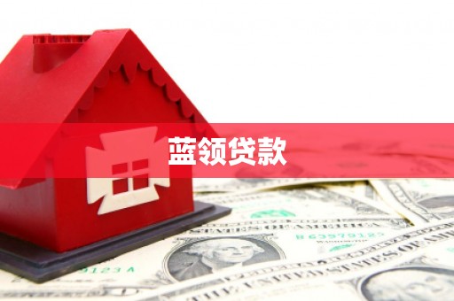 定远蓝领贷款