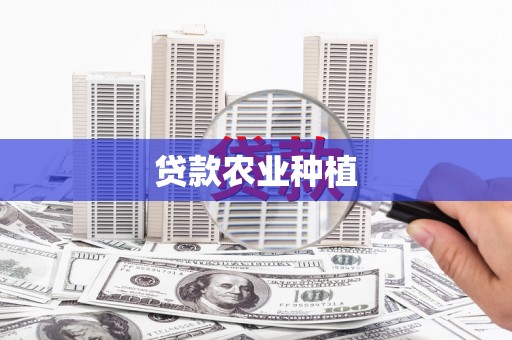 定远贷款农业种植