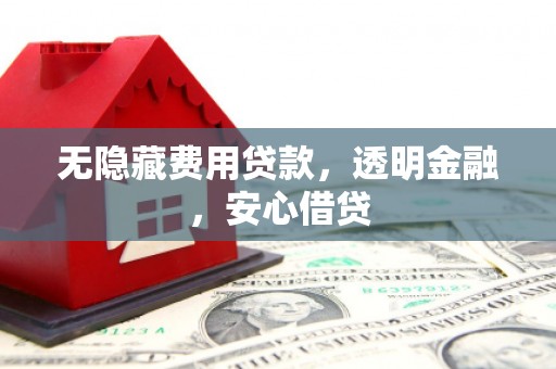 定远无隐藏费用贷款，透明金融，安心借贷