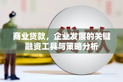 定远商业贷款，企业发展的关键融资工具与策略分析