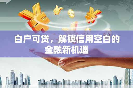 定远白户可贷，解锁信用空白的金融新机遇