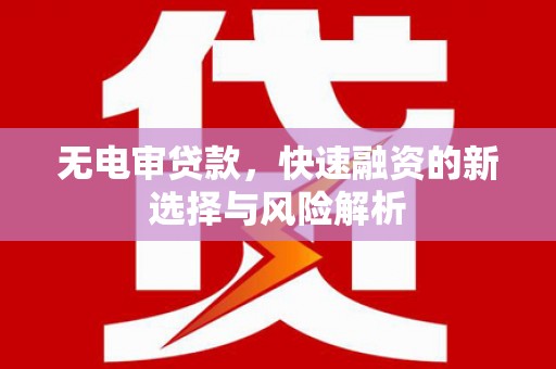 定远无电审贷款，快速融资的新选择与风险解析