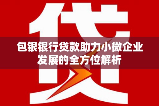 定远包银银行贷款助力小微企业发展的全方位解析