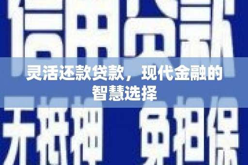 定远灵活还款贷款，现代金融的智慧选择