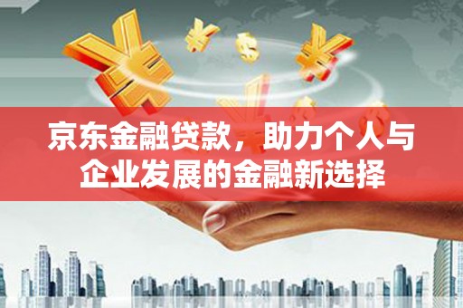 定远京东金融贷款，助力个人与企业发展的金融新选择
