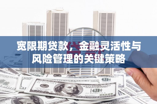 定远宽限期贷款，金融灵活性与风险管理的关键策略