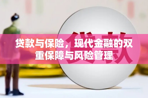 定远贷款与保险，现代金融的双重保障与风险管理