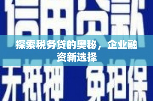 定远探索税务贷的奥秘，企业融资新选择