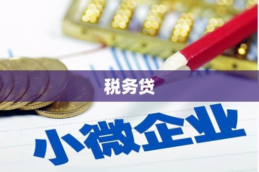 定远税务贷