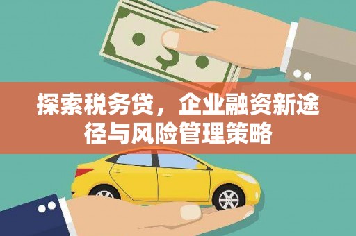 定远探索税务贷，企业融资新途径与风险管理策略