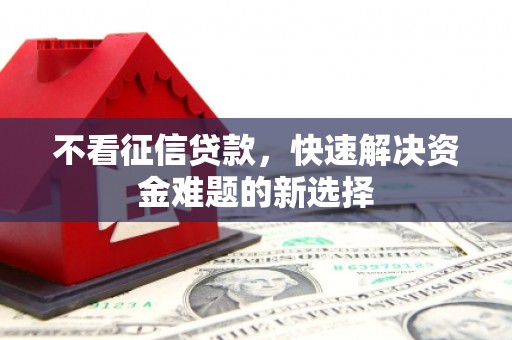 定远不看征信贷款，快速解决资金难题的新选择