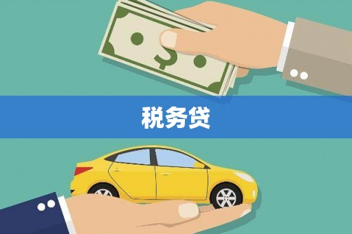 定远税务贷