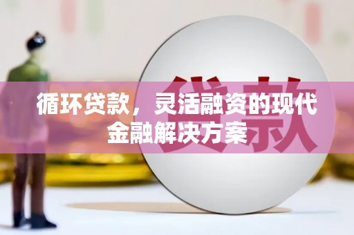 定远循环贷款，灵活融资的现代金融解决方案