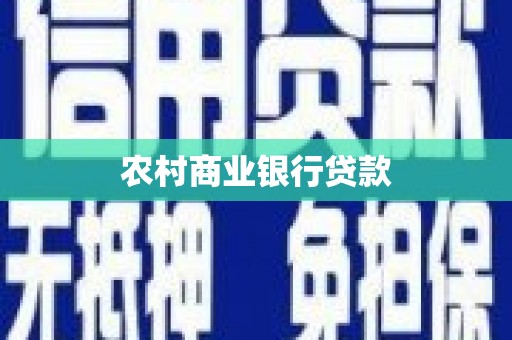 定远农村商业银行贷款