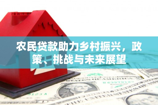 定远农民贷款助力乡村振兴，政策、挑战与未来展望