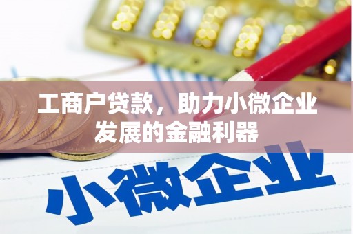 定远工商户贷款，助力小微企业发展的金融利器