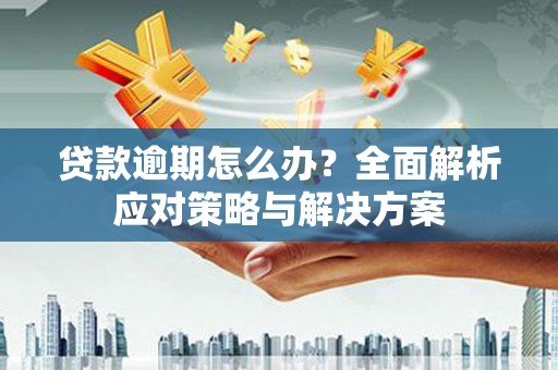 定远贷款逾期怎么办？全面解析应对策略与解决方案