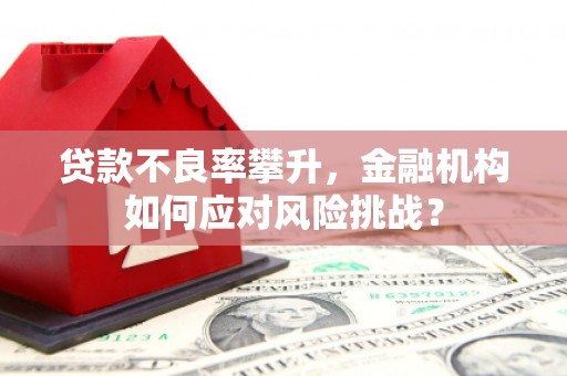 定远贷款不良率攀升，金融机构如何应对风险挑战？