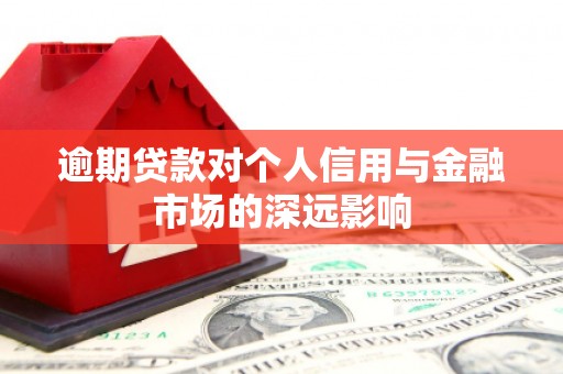定远逾期贷款对个人信用与金融市场的深远影响