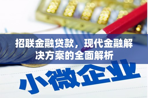 定远招联金融贷款，现代金融解决方案的全面解析