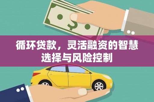 定远循环贷款，灵活融资的智慧选择与风险控制