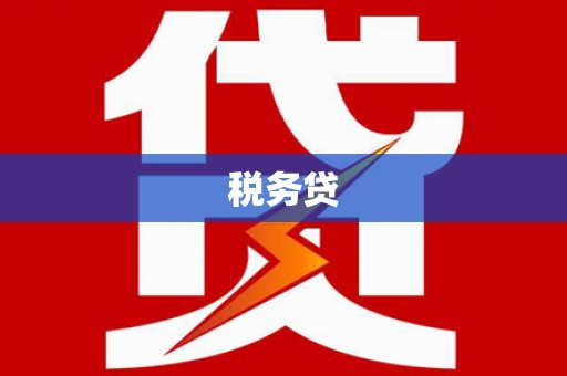 定远税务贷