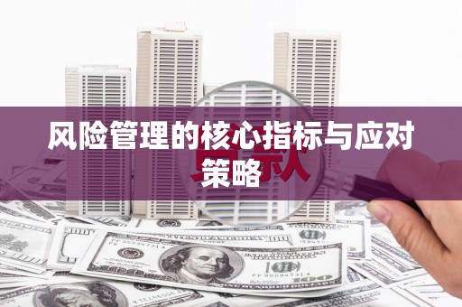 定远风险管理的核心指标与应对策略
