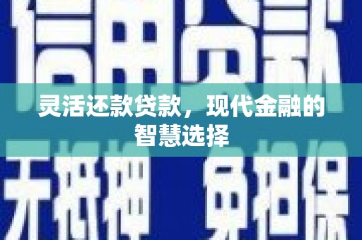定远灵活还款贷款，现代金融的智慧选择