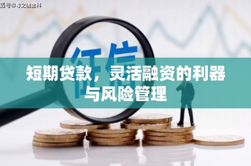 定远短期贷款，灵活融资的利器与风险管理
