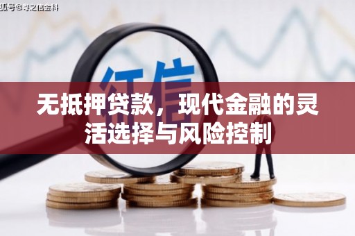 定远无抵押贷款，现代金融的灵活选择与风险控制