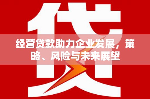定远经营贷款助力企业发展，策略、风险与未来展望