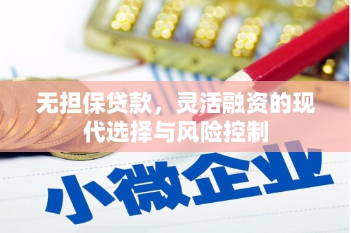 定远无担保贷款，灵活融资的现代选择与风险控制