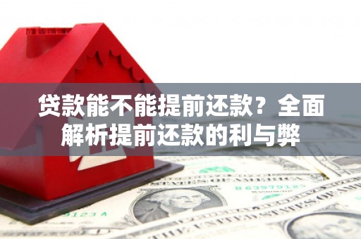 定远贷款能不能提前还款？全面解析提前还款的利与弊
