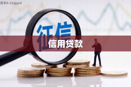 定远信用贷款