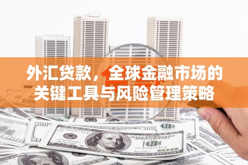 定远外汇贷款，全球金融市场的关键工具与风险管理策略
