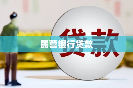 定远民营银行贷款