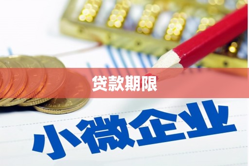 定远贷款期限