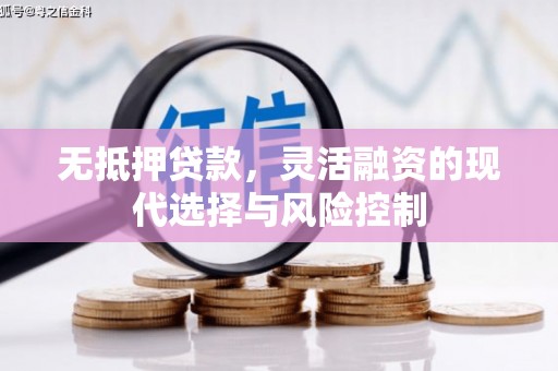 定远无抵押贷款，灵活融资的现代选择与风险控制