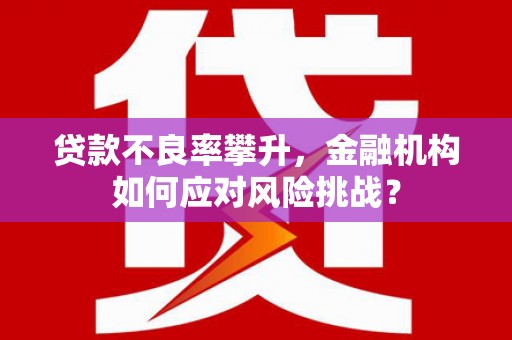 定远贷款不良率攀升，金融机构如何应对风险挑战？