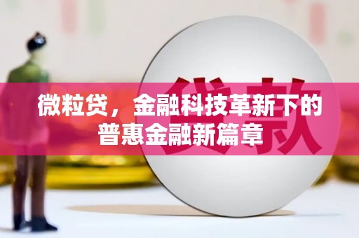 定远微粒贷，金融科技革新下的普惠金融新篇章
