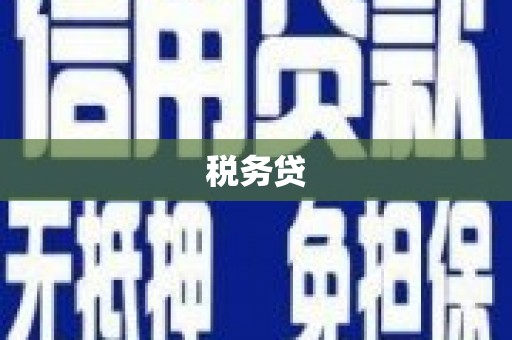 定远税务贷