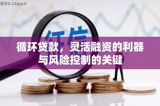 定远循环贷款，灵活融资的利器与风险控制的关键