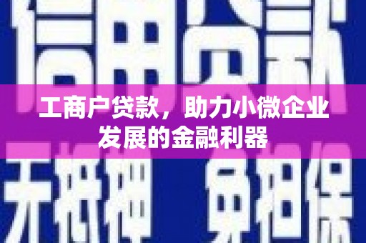 定远工商户贷款，助力小微企业发展的金融利器