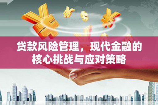 定远贷款风险管理，现代金融的核心挑战与应对策略