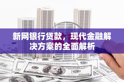 定远新网银行贷款，现代金融解决方案的全面解析