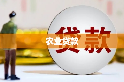 定远农业贷款